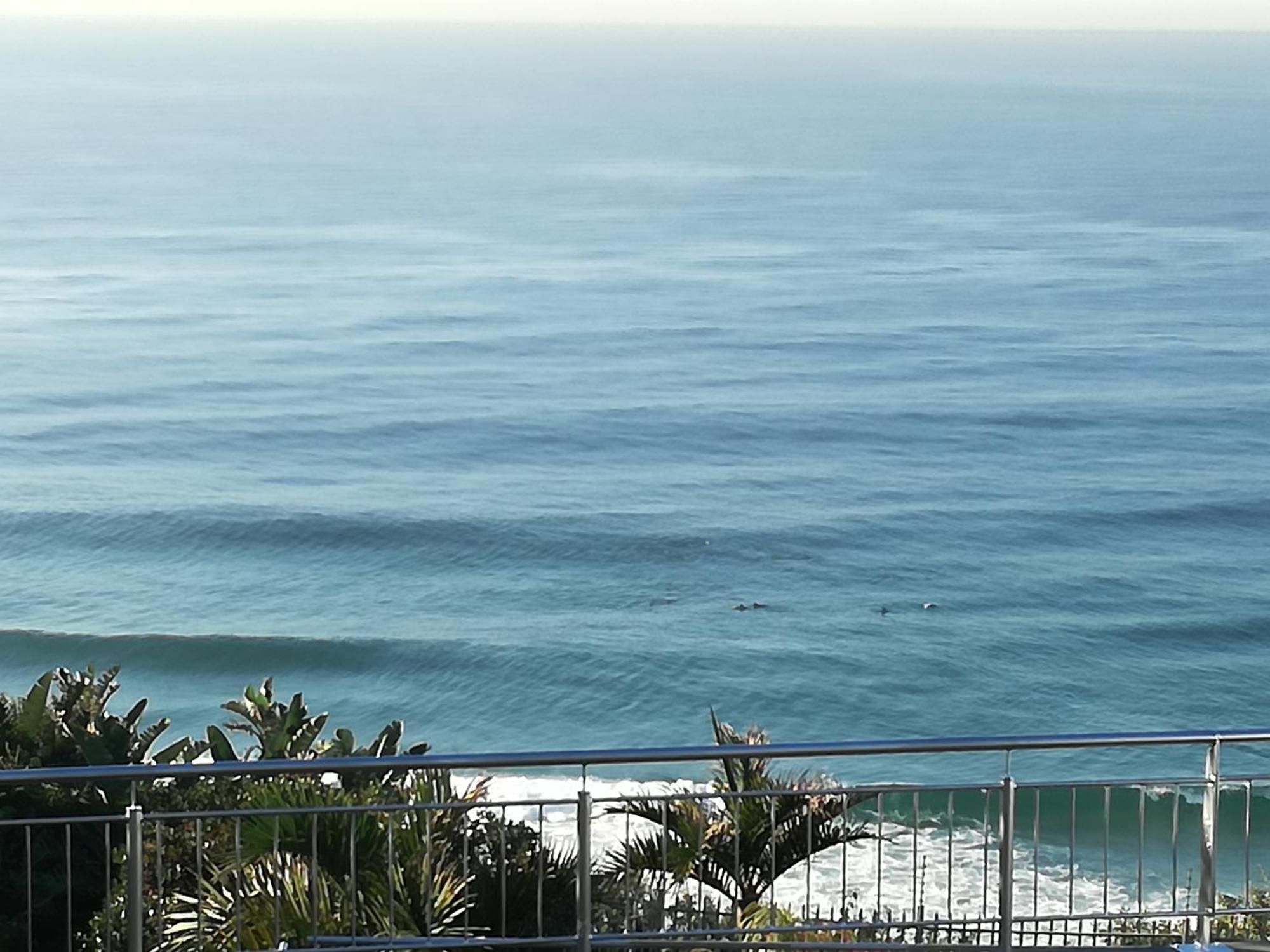 Dolphin Point B&B Durban Exterior photo